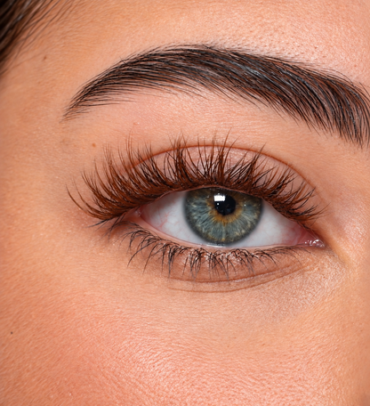 Lashes Brown
