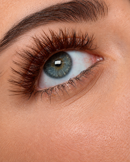 Lashes Brown