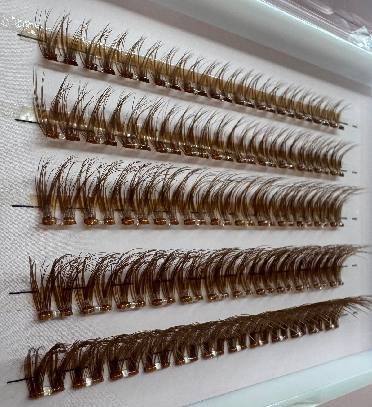 Lashes Brown