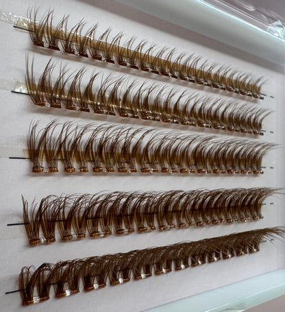 Lashes Brown