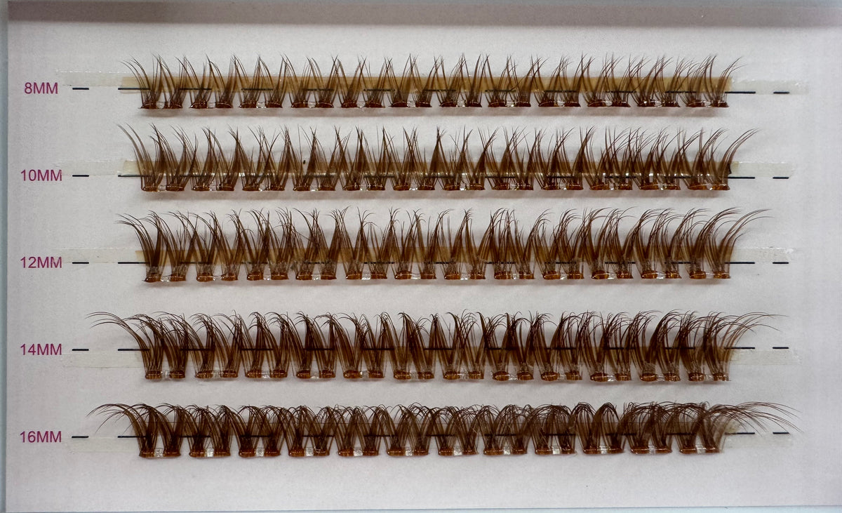 Lashes Brown